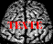 TEXTE